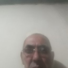 , 67, 