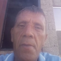 Albert, �������, 46 ���