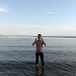 , 33 , 