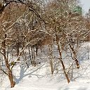 ���� ��������, �����������, 56 ��� - ��������� 21 ������� 2026 � ������ ������ ��������