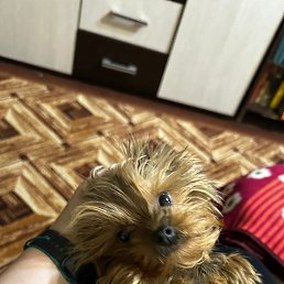 ���� ��������, ������, 56 ��� - ��������� 5 ������ 2023