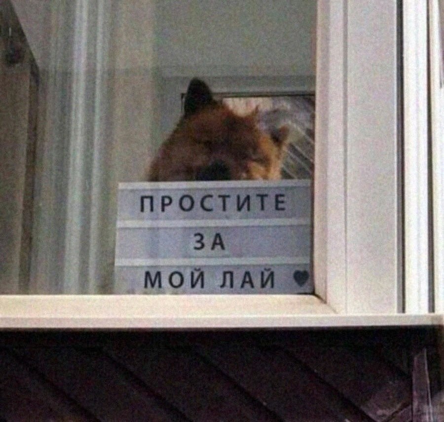  :3