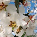 ���� �����, ������-��-����, 99 ��� - ��������� 28 ������� 2023 � ������ ���� ����������