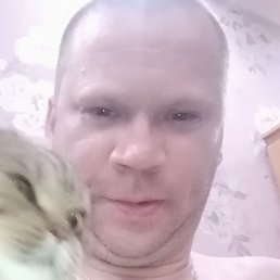 ���������, ��������, 46 ���