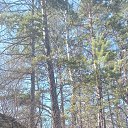 ���� �������, ������������, 58 ��� - ��������� 27 ����� 2026 � ������ ���� ����������