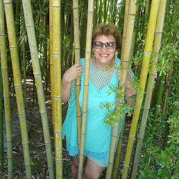 ��������, ������ ��������