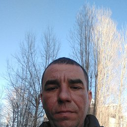 , 38 , 