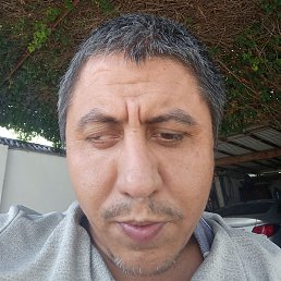 ����., ������, 33 ����