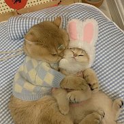 Ekaterina, 35 ���, ���������