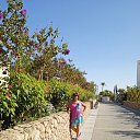  , --, 71  -  6  2025    