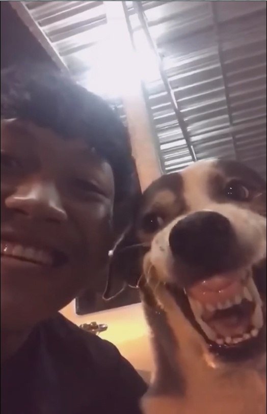     ,      - 2