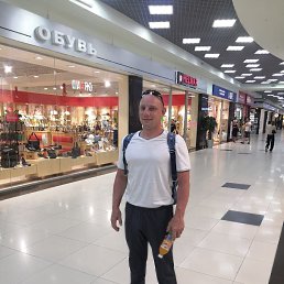 �����, 41 ���, ���������