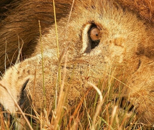 ������ ������� ��� ����, ����� ������������� ���� ���������� ���������� �������� ����, ����� ... - 5