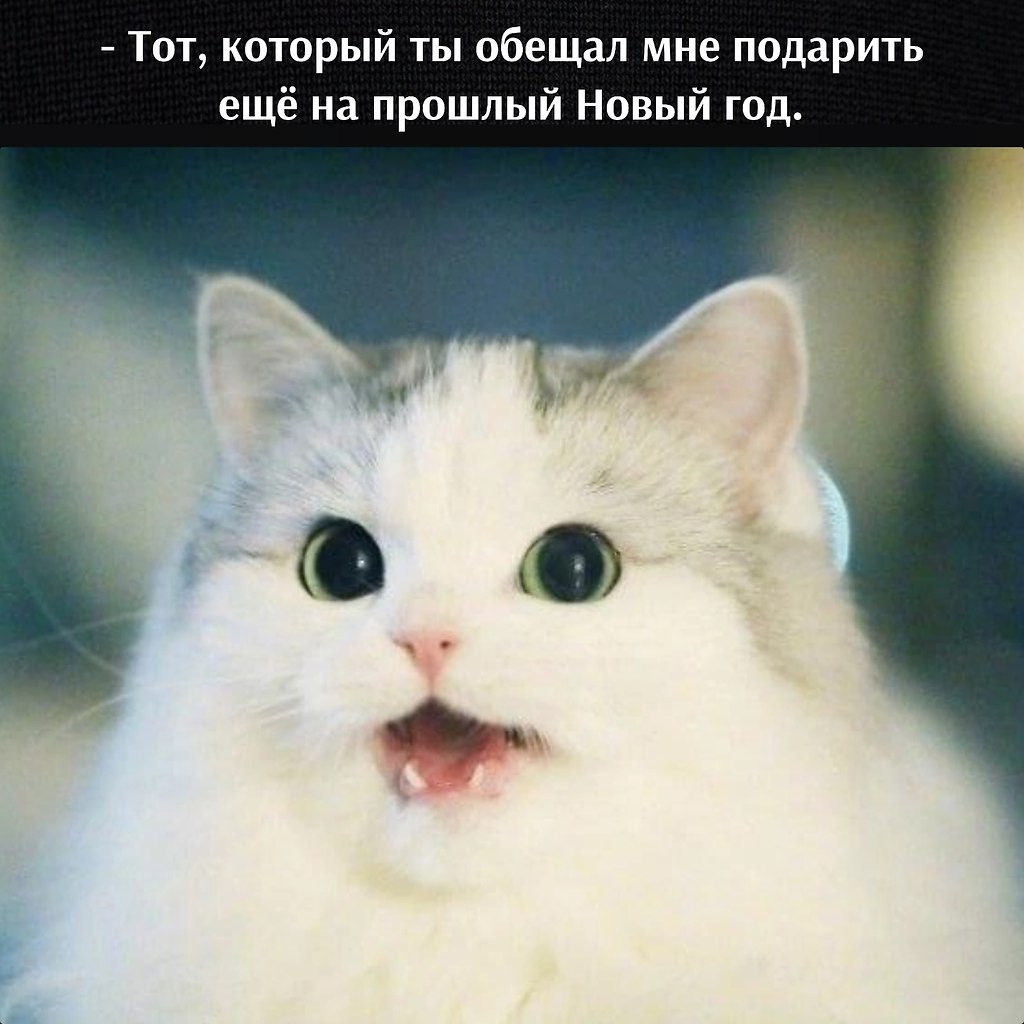 ��� ���� � ����� �� �� - 24 ������� 2025 � 18:03 - 3