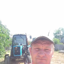 ������, 41 ���, �������