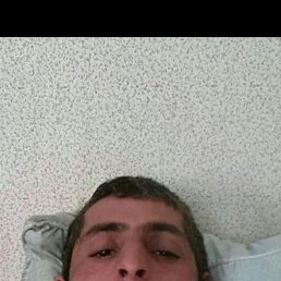 , 41 , -
