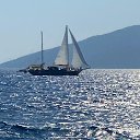 ���� �����, ����� - ��������� 30 ���� 2026 � ������ ���� ����������