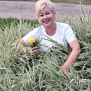 ���� �������, ����, 62 ���� - ��������� 9 ������� 2024 � ������ ���� ����������