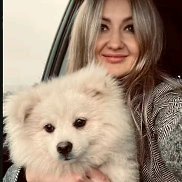 ����, , ��������