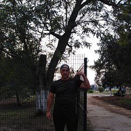 �����, �������, 45 ���