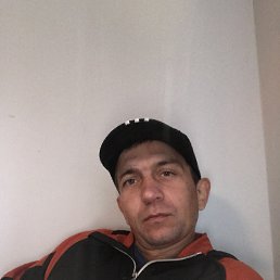 , 33, 