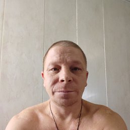 , 40, 