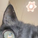 ���� ����, ���������, 55 ��� - ��������� 9 ������� 2025 � ������ ������ ��������