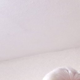 ��������, ������, 69 ���