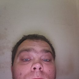 , 29, 