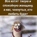 ���� ������, ������� - ��������� 7 ������� 2026 � ������ ������ ��������