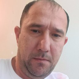 ����, �����-���������, 42 ����