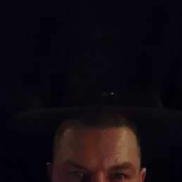 ������, 41 ���, ���������