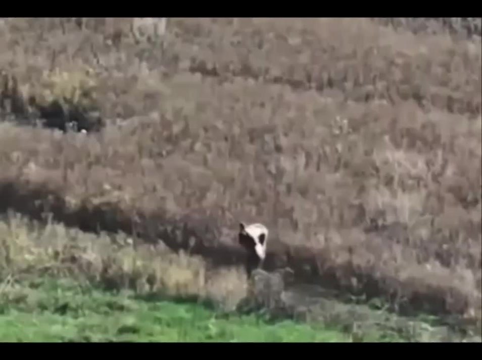 В ДНР боец нёс раненого товарища 2,5 километра под огнём и получил представление к ордену ...