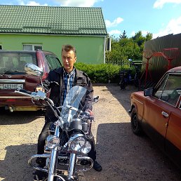 , 57, 