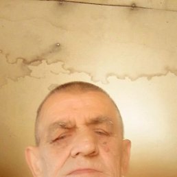 ���� ����, �������-���������, 66 ��� - ��������� 4 ������� 2025