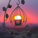 ���� �������, ������������, 58 ��� - ��������� 23 ���� 2025 � ������ ���� ����������