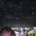 ���� ��������, ���, 62 ���� - ��������� 10 ���� 2026