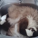 ���� ��������, ������, 59 ��� - ��������� 15 ������ 2025 � ������ ������ ��������