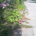 ���� ���������, �������� - ��������� 22 ������� 2025 � ������ �����