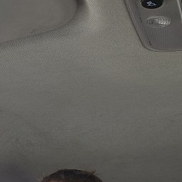 ������, 41 ���, �����������