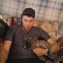 , 33, 