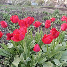 ���� ������, �������, 40 ��� - ��������� 8 ���� 2025