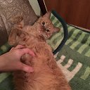 ���� ��������, ������, 39 ��� - ��������� 16 ������� 2024 � ������ ���� ����������