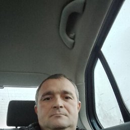 ����, 41 ���, �������