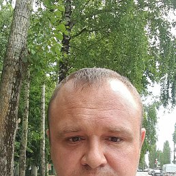 , 40, 