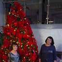 ���� �����, ������������, 64 ���� - ��������� 29 ������� 2024 � ������ ���� ����������