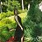 ���� Marina, ������, 27 ��� - ��������� 3 ������� 2026