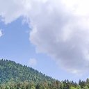 ���� �����, �����, 45 ��� - ��������� 14 ������� 2025 � ������ ���� ����������