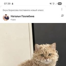 ���� ����, �����������, 44 ���� - ��������� 30 ������ 2026