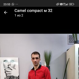 , 31, 